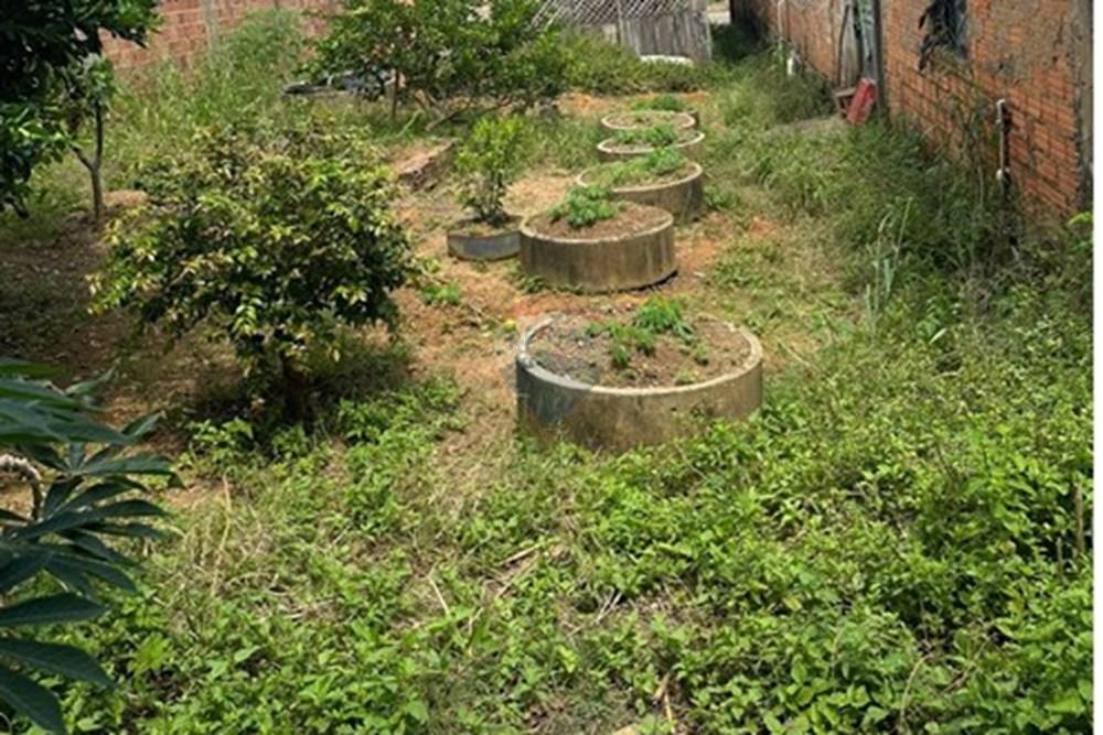 Terreno - Venda - Parauapebas , Pará - IMG-20250429-WA0223.jpg - 722021020-8