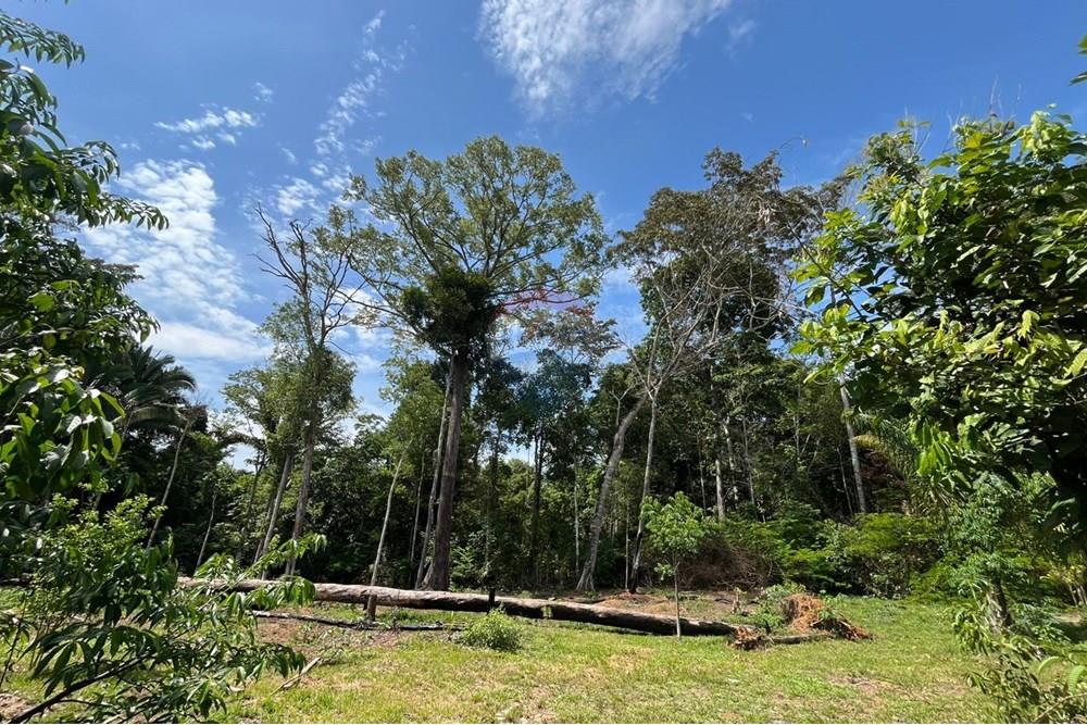 Chácara / Sítio / Fazenda - Venda - Porto Velho , Rondônia - WhatsApp Image 2025-11-05 at 15.47.35 (1).jpeg - 721551067-4