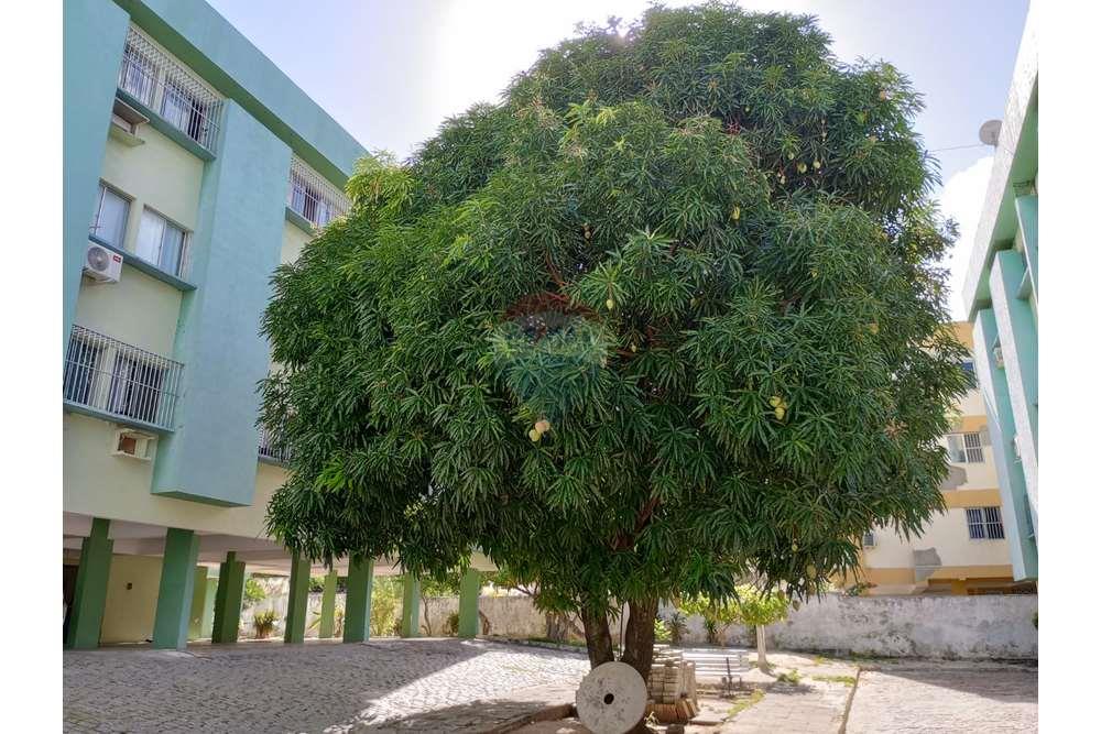 Apartamento - Alugar - Natal , Rio Grande do Norte - WhatsApp Image 2024-05-27 at 12.24.49.jpeg - 720731020-108