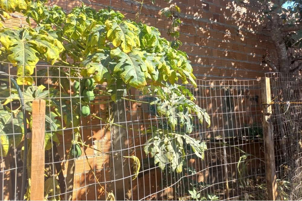 Casa - Venda - Rondonópolis , Mato Grosso - Imagem do WhatsApp de 2025-10-27 à(s) 22.29.53_3cda5fb6.jpg - 722261004-22