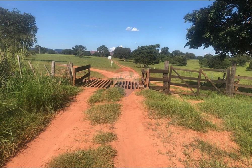 Fazenda - Venda - Guiratinga , Mato Grosso - IMG-20250812-WA0120.jpg - 721981068-2