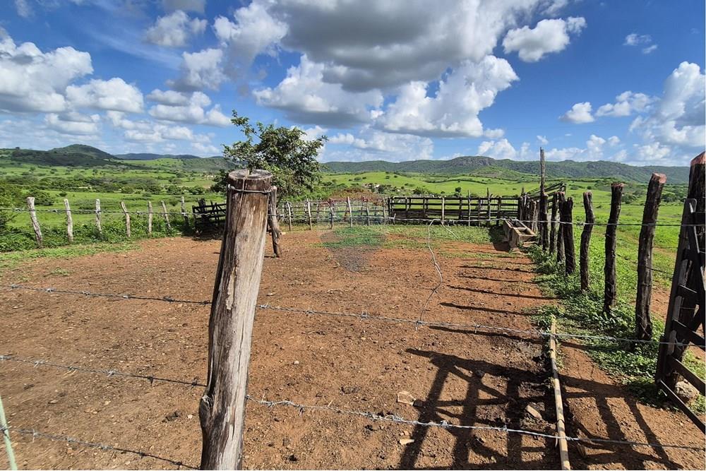 Chácara / Sítio / Fazenda - Venda - Riachão do Bacamarte , Paraíba - 20250215_144914.jpg - 722011055-39