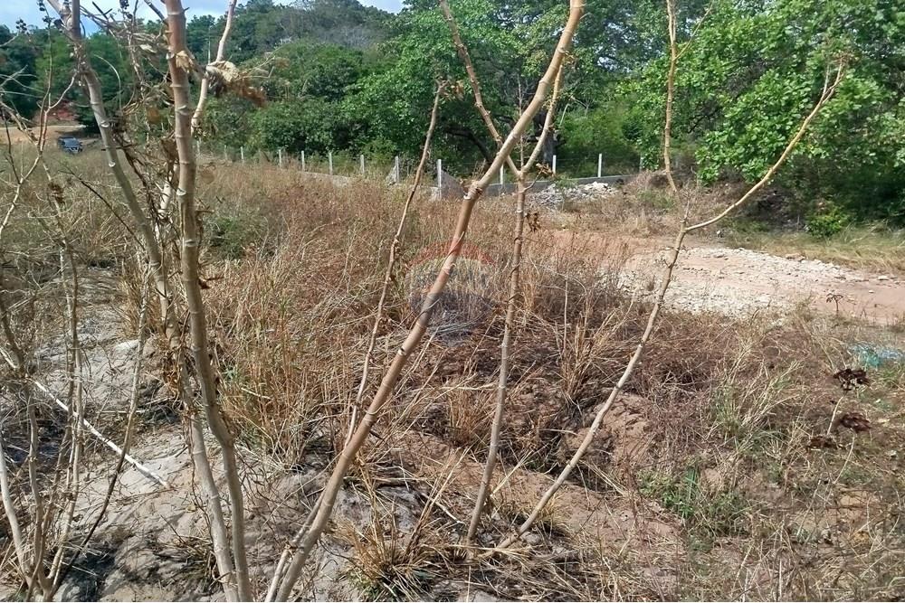 Terreno - Venda - Nísia Floresta , Rio Grande do Norte - WhatsApp Image 2024-11-22 at 21.32.38 (1).jpeg - 720891013-74