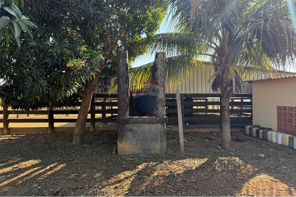 Fazenda - Venda - Rondonópolis , Mato Grosso - munaro (4).jpg - 720851027-122