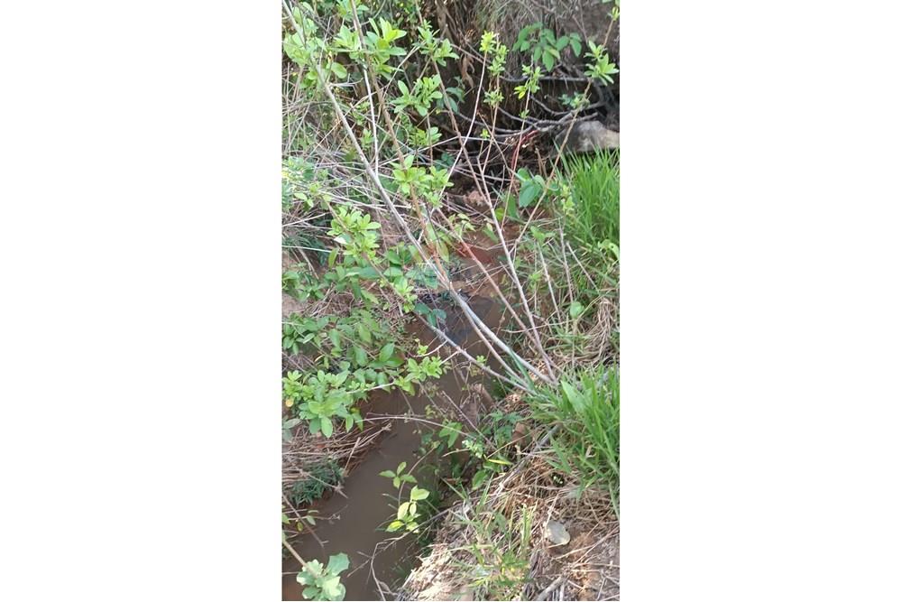 Chácara / Sítio / Fazenda - Venda - Caldas Novas , Goiás - WhatsApp Image 2025-09-30 at 10.03.12 (2).jpeg - 722251025-1