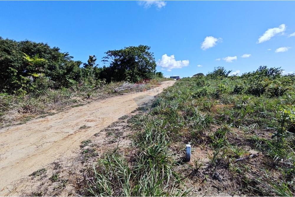 Terreno - Venda - Pitimbu , Paraíba - WhatsApp Image 2025-08-28 at 18.48.45 (1).jpeg - 720871009-187