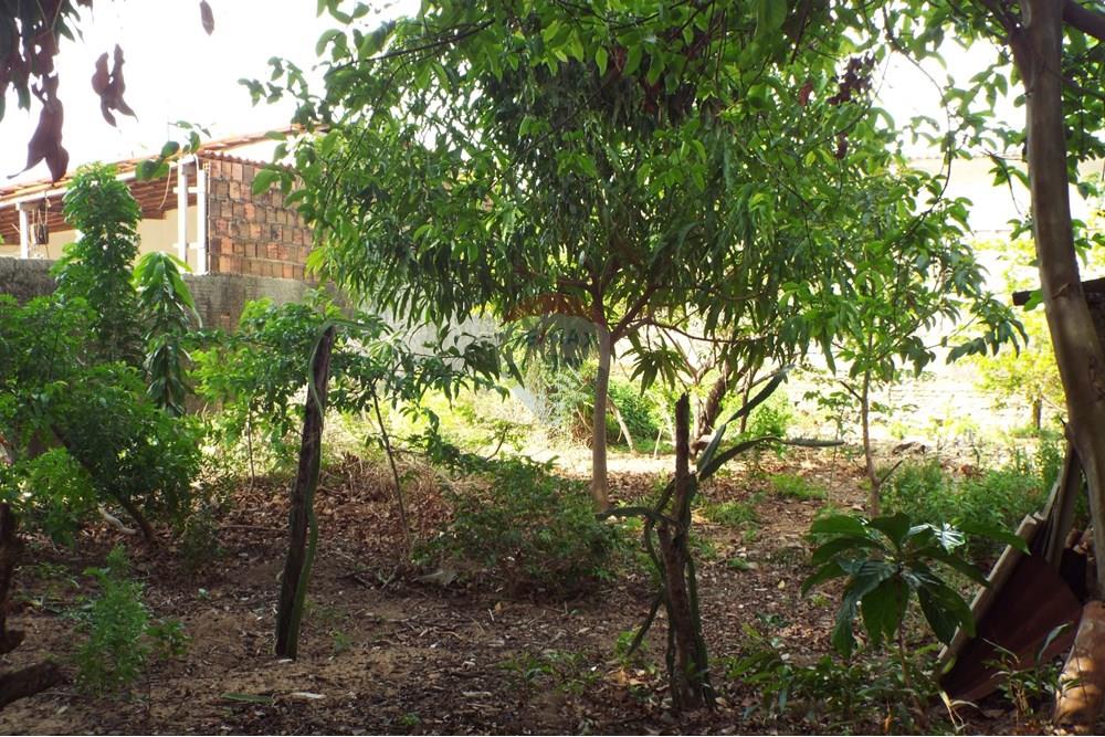 Terreno - Venda - Natal , Rio Grande do Norte - DSCF2363.JPG - 720891130-142