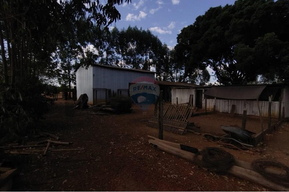 Chácara / Sítio / Fazenda - Venda - Sinop , Mato Grosso - WhatsApp Image 2025-08-07 at 14.46.26 (1).jpeg - 721561039-35