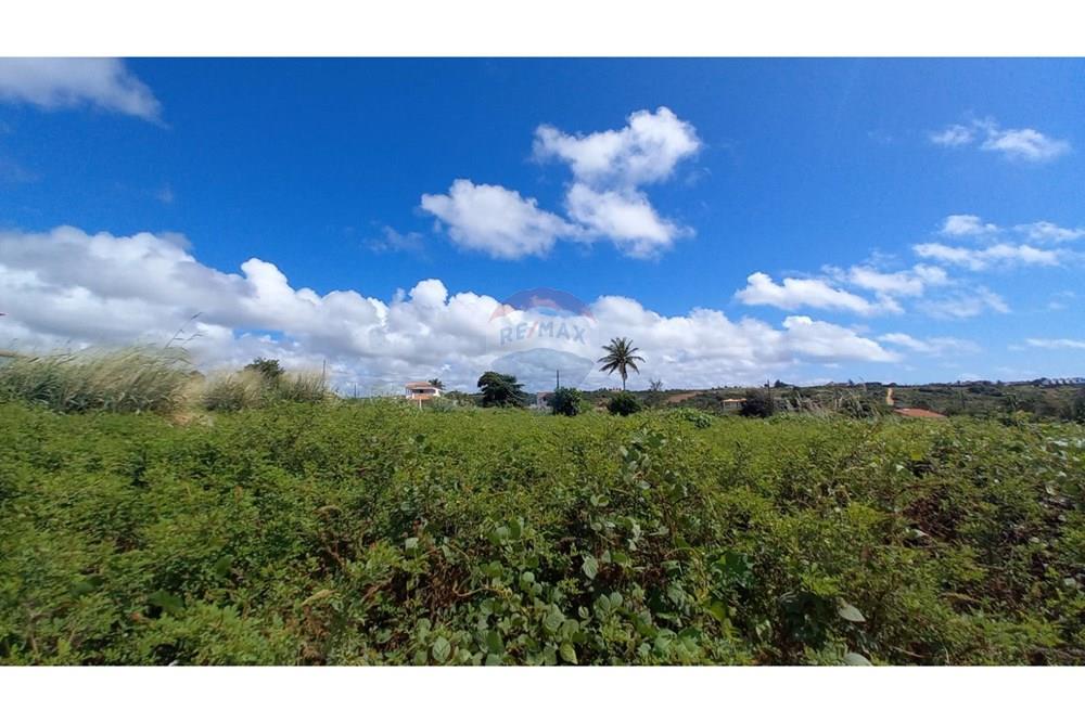 Terreno - Venda - Pitimbu , Paraíba - WhatsApp Image 2025-09-24 at 13.26.02.jpeg - 720871027-59