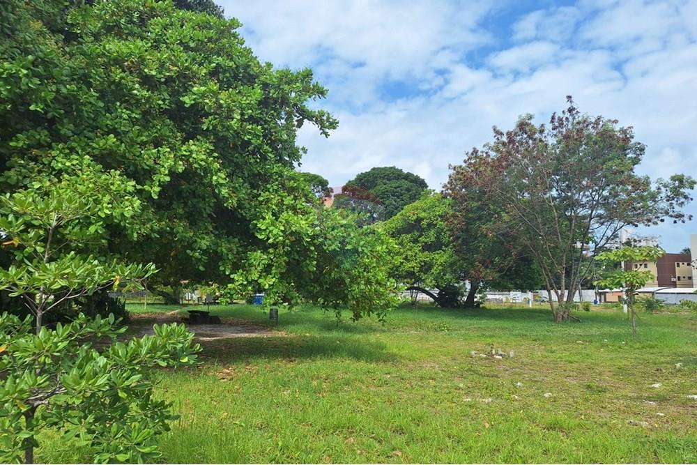 Apartamento - Venda - João Pessoa , Paraíba - EcoBosque.02-P.jpeg - 720431092-2