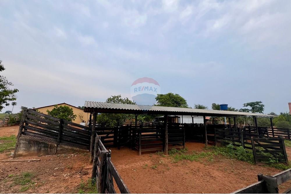 Fazenda - Venda - Nova Olinda , Tocantins - WhatsApp Image 2024-11-29 at 15.56.46.jpeg - 720991010-57