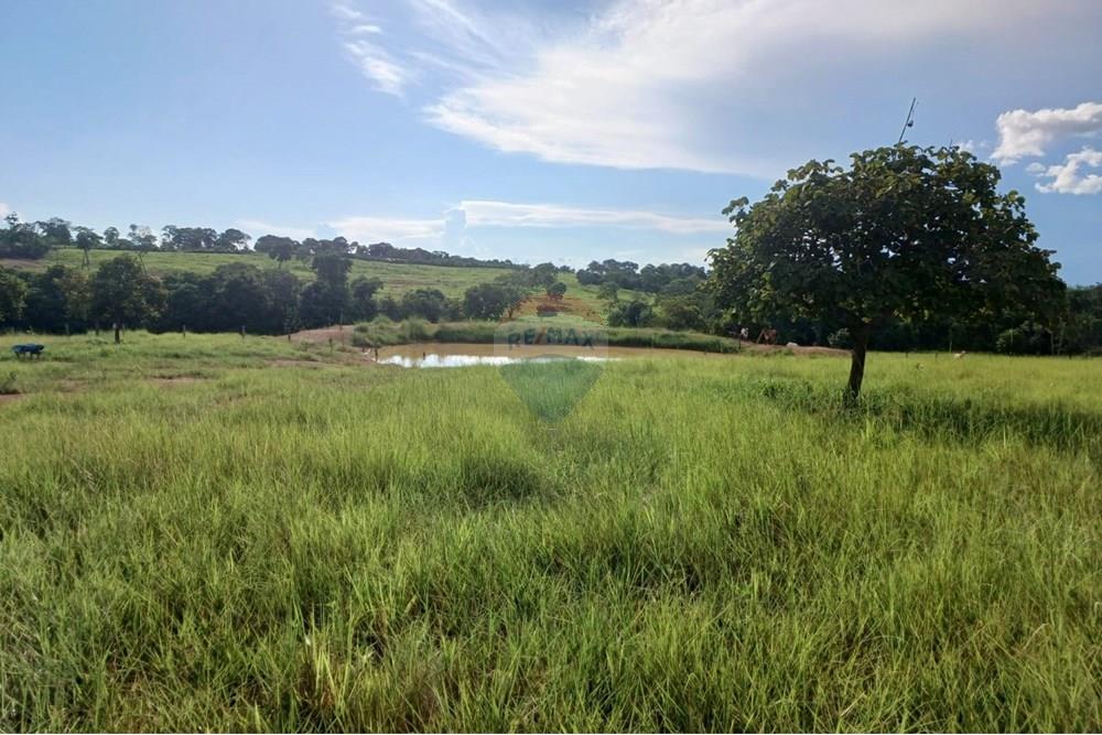 Chácara / Sítio / Fazenda - Venda - São José do Povo , Mato Grosso - WhatsApp Image 2025-04-03 at 17.01.53.jpeg - 722261017-2