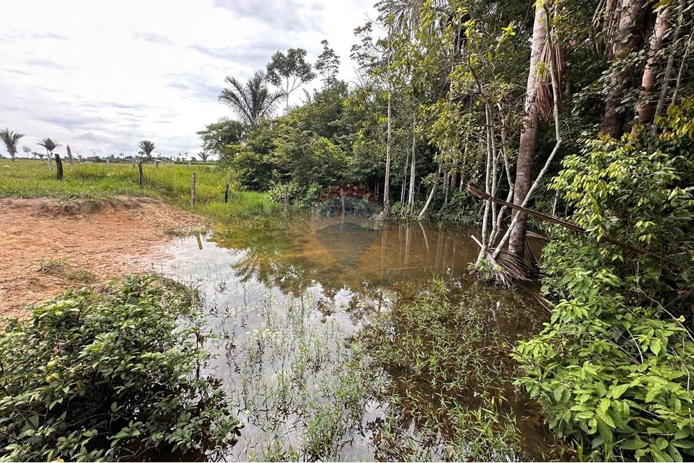 Fazenda - Venda - Itapuã do Oeste , Rondônia - IMG_0344.JPG - 721551004-289
