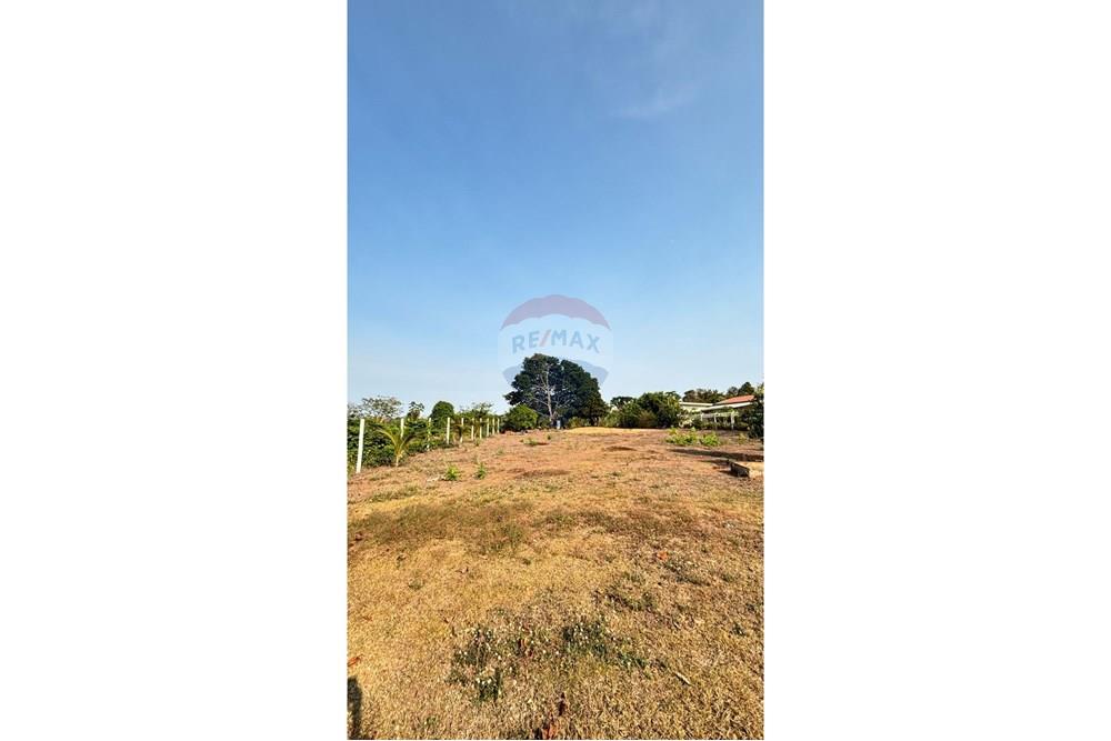 Chácara / Sítio / Fazenda - Venda - Ji-Paraná , Rondônia - WhatsApp Image 2025-08-25 at 16.25.12.jpeg - 722161004-57