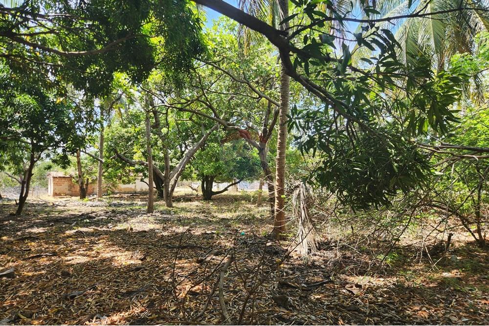 Terreno - Venda - Maxaranguape , Rio Grande do Norte - 20241016_094433.jpg - 720891155-334