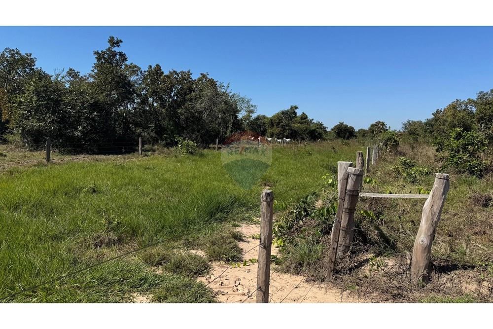 Fazenda - Venda - Santo Antônio do Leverger , Mato Grosso - be311194-67c3-4c9d-9c27-8746d79dd629.jpeg - 720611035-41