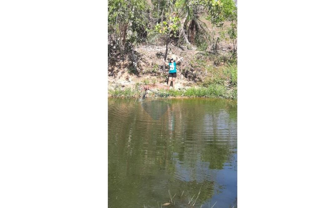 Fazenda - Venda - Guiratinga , Mato Grosso - IMG-20250730-WA0180.jpg - 721981068-4