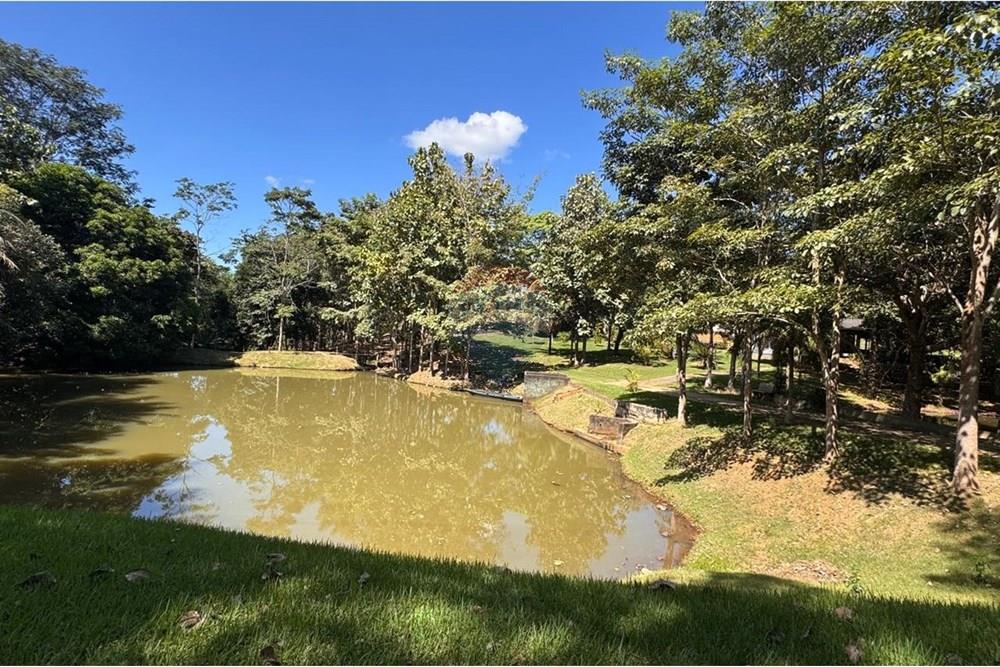 Chácara / Sítio / Fazenda - Venda - Jaru , Rondônia - ab90891d-6e80-46c9-ac73-2c2eb06c66e2.jpeg - 721551076-205