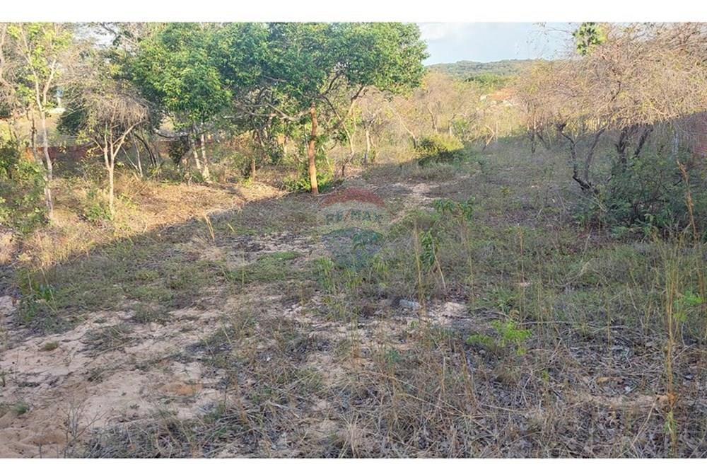 Terreno - Venda - Nísia Floresta , Rio Grande do Norte - Foto local (1).jpg - 720891234-10