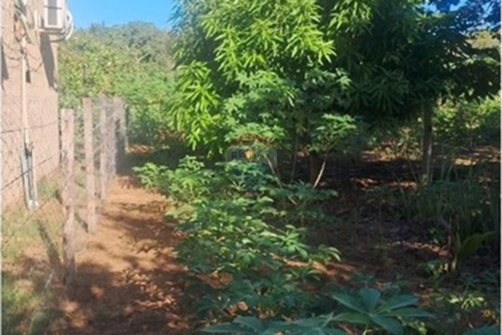 Chácara / Sítio / Fazenda - Venda - Rondonópolis , Mato Grosso - Imagem do WhatsApp de 2025-08-25 à(s) 16.49.22_889a58d3.jpg - 722261004-17