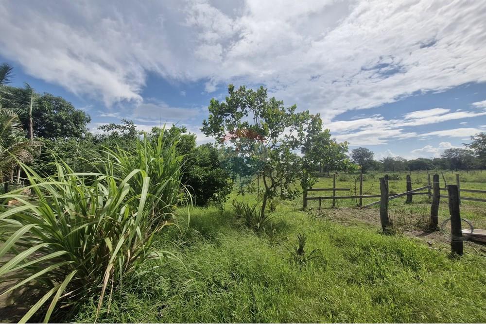 Chácara / Sítio / Fazenda - Venda - Barra do Garças , Mato Grosso - WhatsApp Image 2024-11-27 at 21.09.33 (4).jpeg - 722221026-15