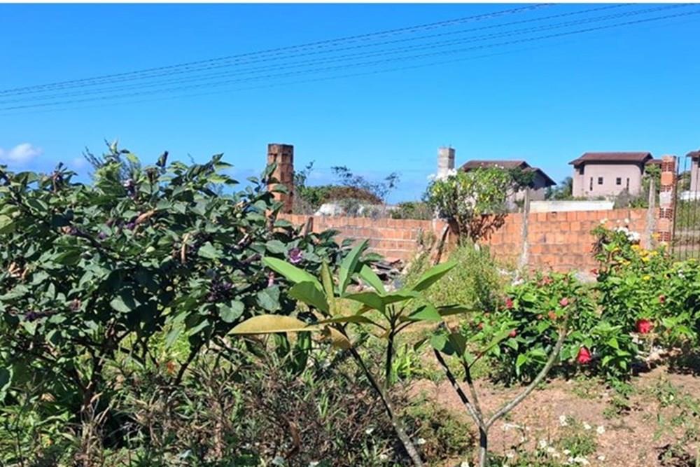 Casa - Venda - Pitimbu , Paraíba - 4e00c89a-8677-472a-bdee-139e2ef40302.jpeg - 720871044-84