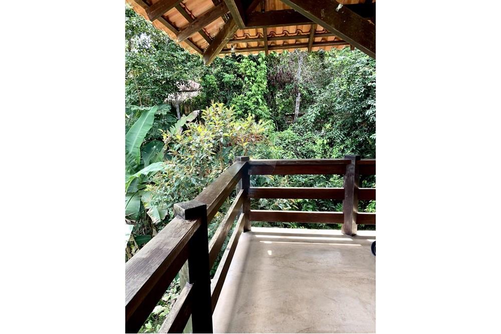 Casa de Campo - Venda - Santarém , Pará - IMG_3192.jpeg - 722151008-18