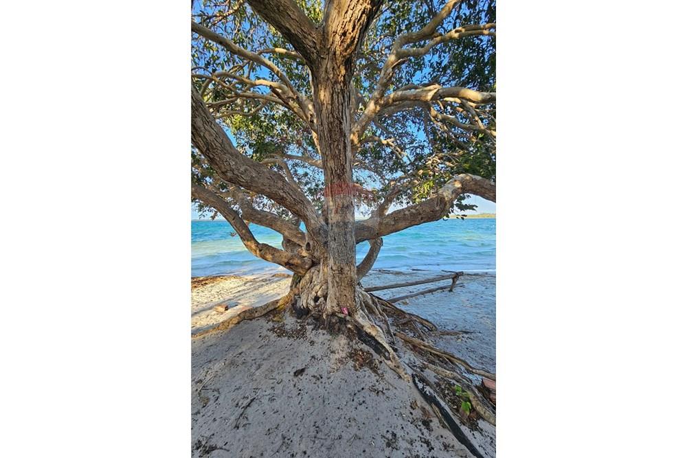 Terreno - Venda - Jijoca de Jericoacoara , Ceará - 20240905_163327.jpg - 722341001-43