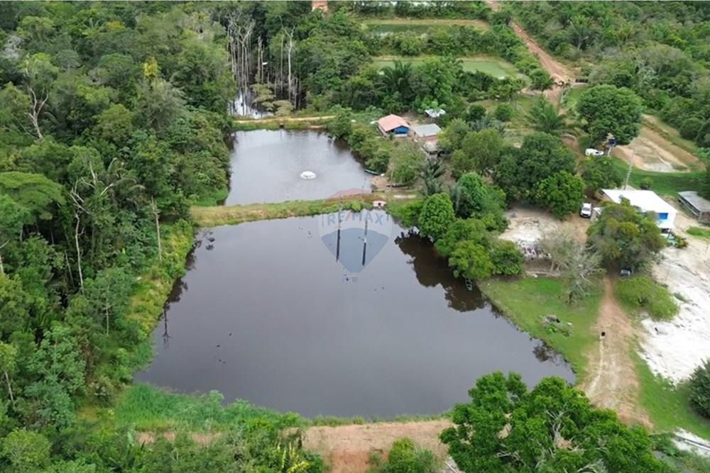 Chácara / Sítio / Fazenda - Venda - Novo Airão , Amazonas - Tanques de Peixes3.jpg - 720721055-29