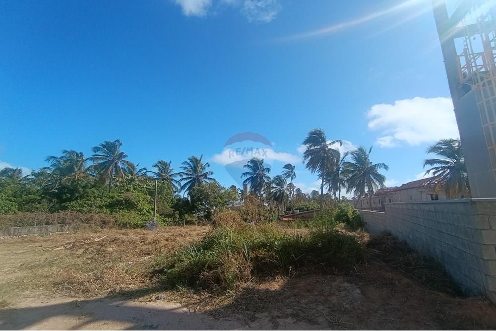 Terreno - Venda - Trairi , Ceará - IMG_20250815_080820.jpg - 722341005-3