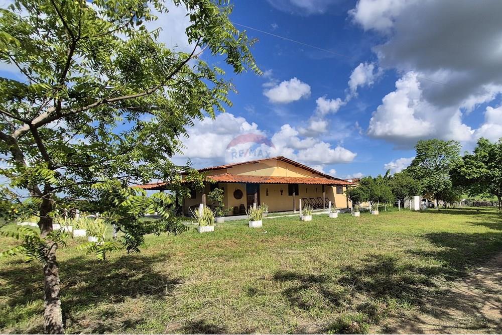 Chácara / Sítio / Fazenda - Venda - Riachão do Bacamarte , Paraíba - 20250215_145213.jpg - 722011055-39