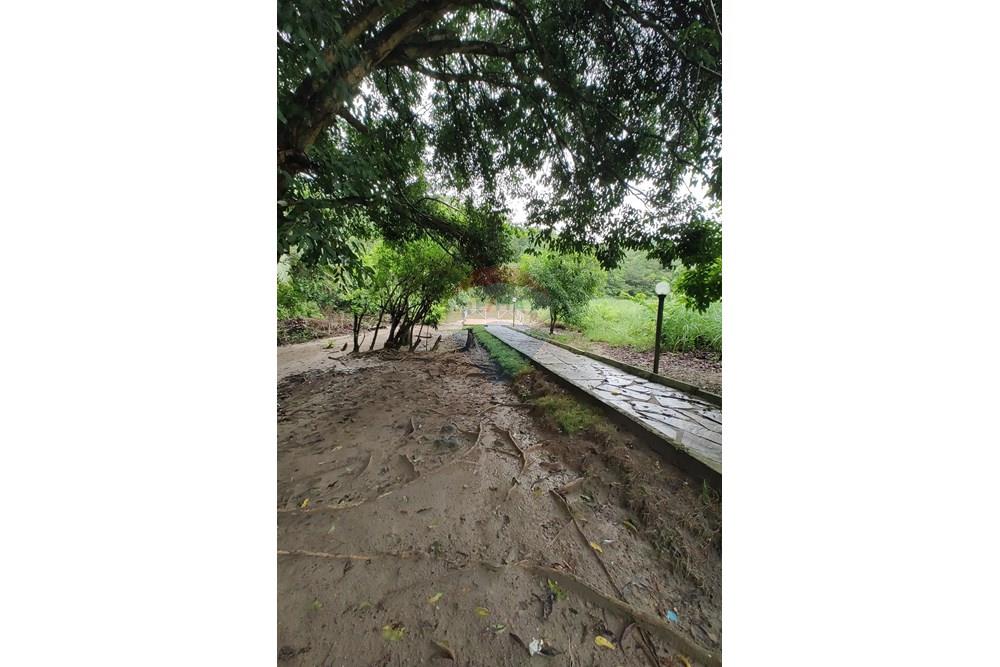 Terreno - Venda - Conde , Paraíba - IMG_20250521_072814949.jpg - 720871050-27