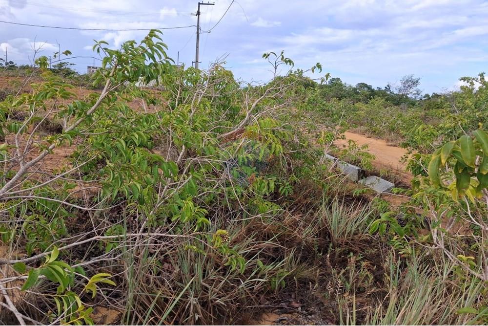 Terreno - Venda - Conde , Paraíba - 32703c17-ec8e-46f7-86c5-1305bce5e44a.jpeg - 720871044-38