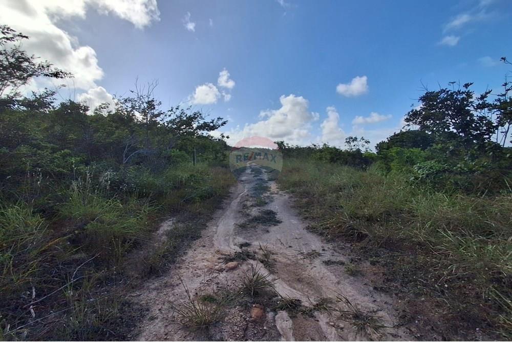 Terreno - Venda - Pitimbu , Paraíba - b00436bc-c12a-4249-bfd3-da116c4d5318.jpg - 720871044-59