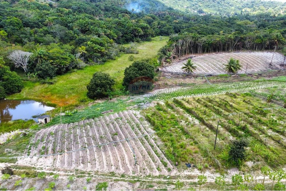 Chácara / Sítio / Fazenda - Venda - Conde , Paraíba - dji_fly_20240921_105556_228_1727098155366_photo_optimized.jpg - 722011055-34