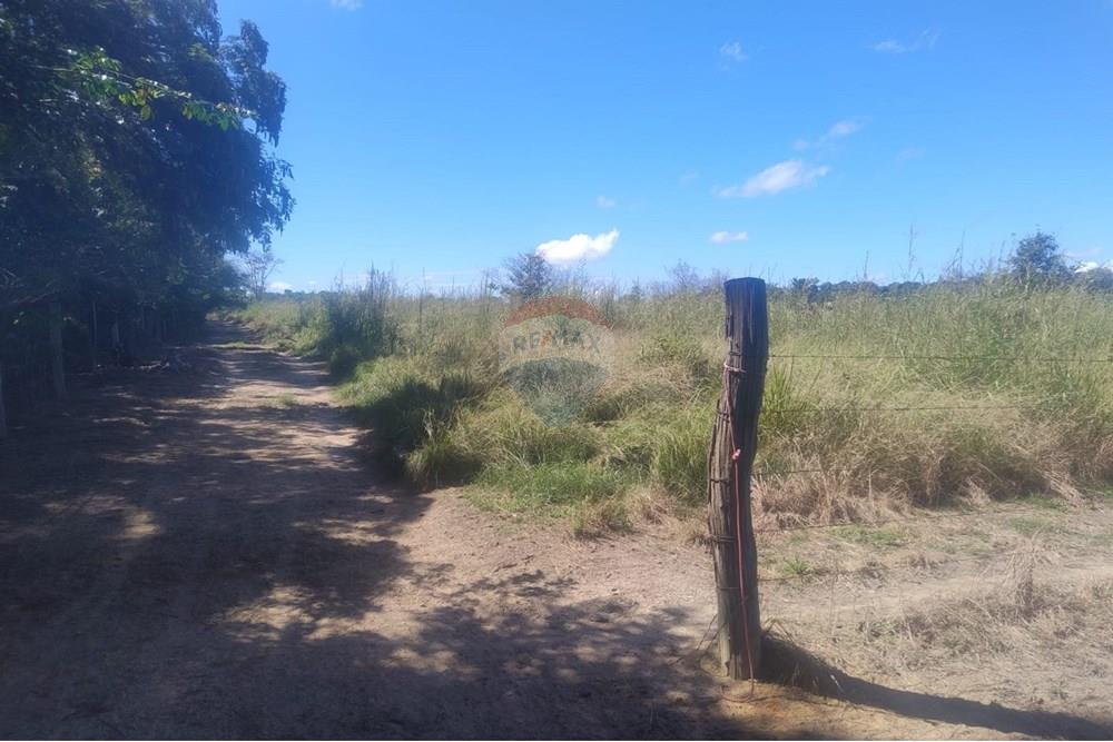 Chácara / Sítio / Fazenda - Venda - Confresa , Mato Grosso - IMG-20250926-WA0047.jpg - 720641046-10