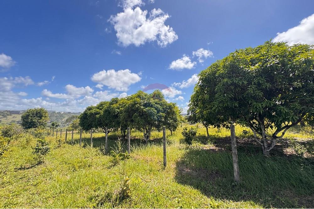 Terreno - Venda - Conde , Paraíba - 08.jpg - 720471011-115