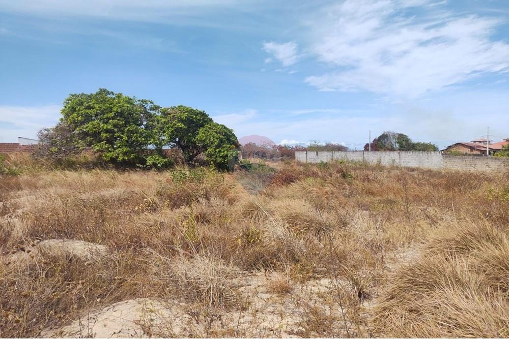 Terreno - Venda - Conde , Paraíba - WhatsApp Image 2024-12-05 at 21.40.50.jpeg - 720871031-83
