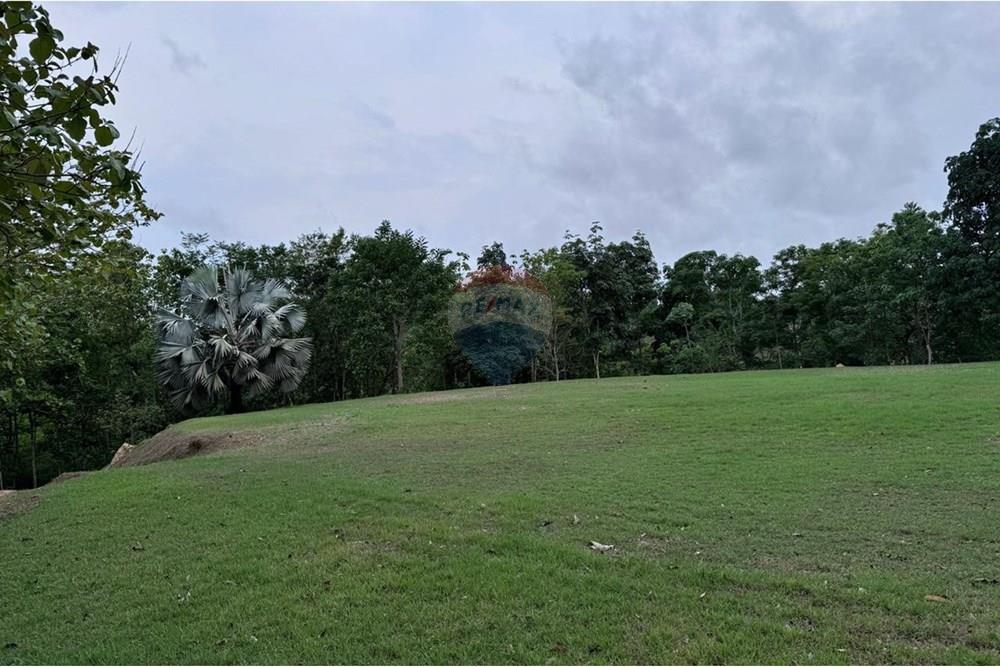 Chácara / Sítio / Fazenda - Venda - Jaru , Rondônia - 5ae8b8b2-c945-412d-b594-6644ac7570eb.jpeg - 721551076-205