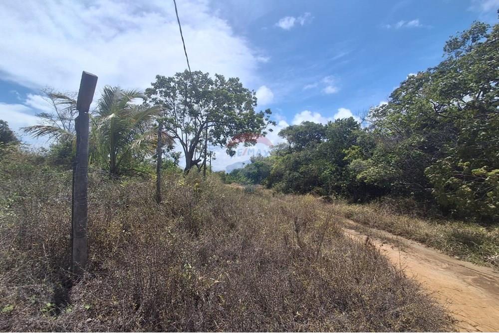 Terreno - Venda - Conde , Paraíba - 14c074af-9984-4809-8742-15e7121e6858.jpeg - 720871044-33