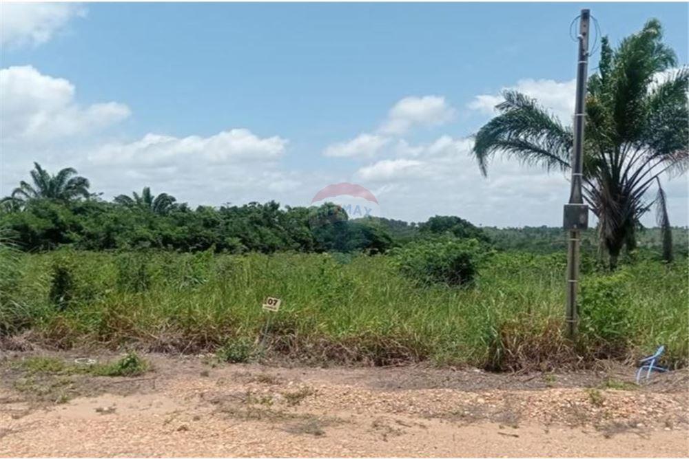 Terreno - Venda - Piçarra , Pará - 4 - 720991002-131