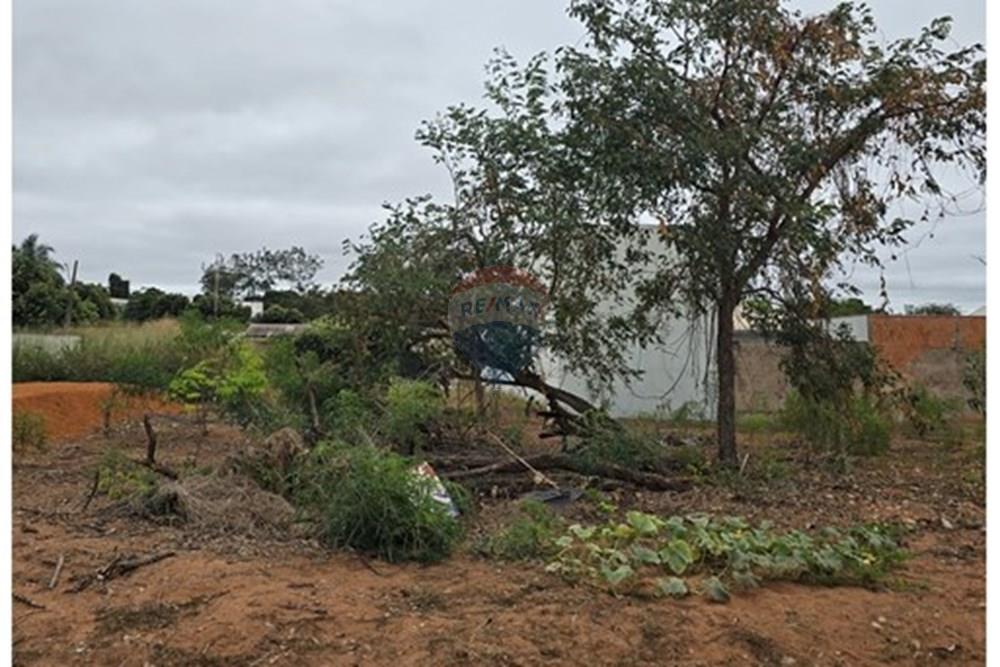 Terreno - Venda - Rondonópolis , Mato Grosso - WhatsApp Image 2025-07-03 at 15.42.33 (2).jpeg - 720851064-28