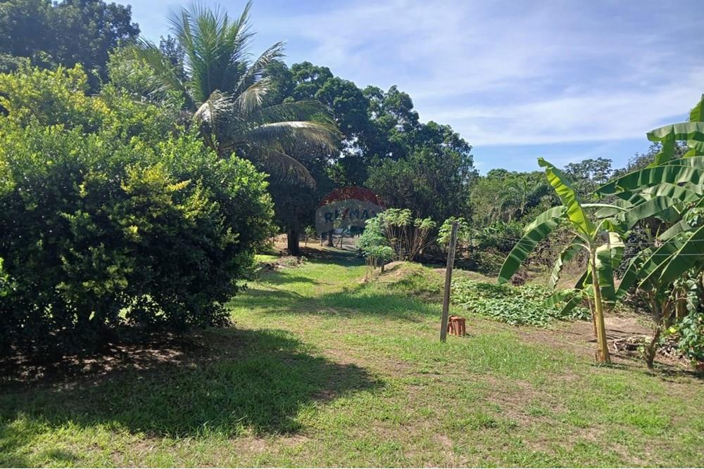Chácara / Sítio / Fazenda - Venda - Rondonópolis , Mato Grosso - WhatsApp Image 2025-05-12 at 16.32.18 (5).jpeg - 720611007-91