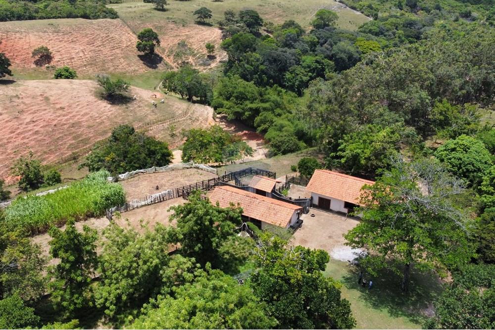 Chácara / Sítio / Fazenda - Venda - Conde , Paraíba - Photo_6619170_DJI_34_jpg_4174190_0_20211021111554_photo_original.jpg - 722011055-33