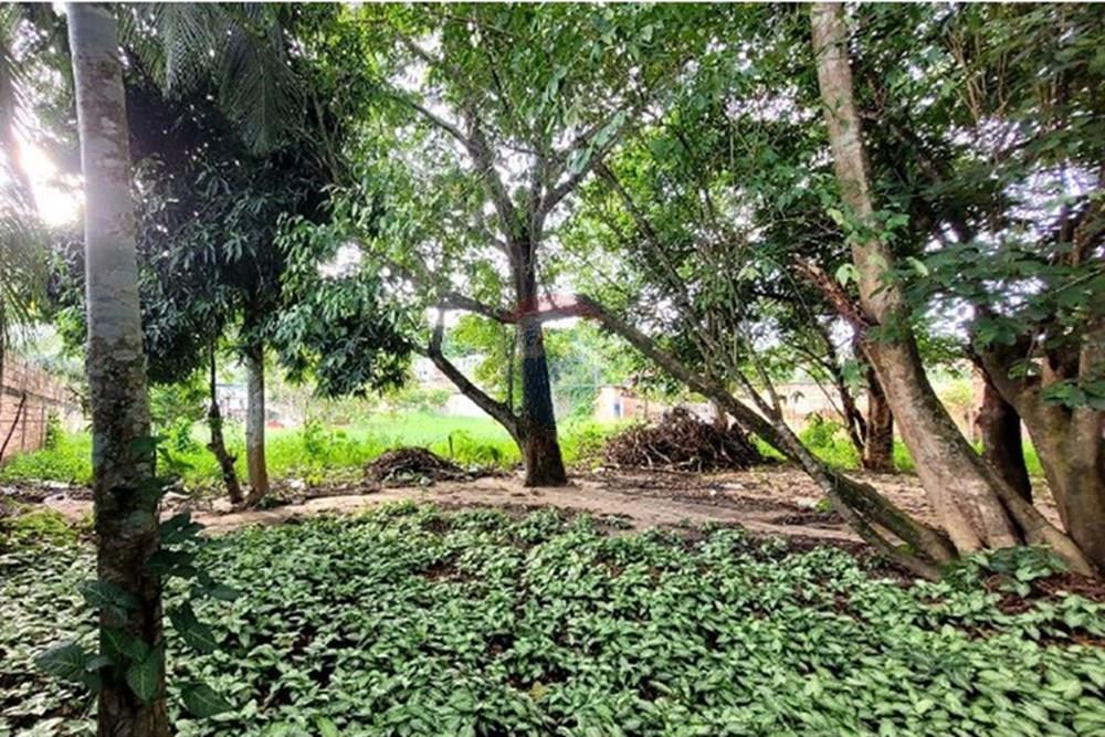 Terreno - Venda - Manaus , Amazonas - 7feac93c-25e3-45bf-bf0a-b6c65476893b.jpeg - 722101020-31