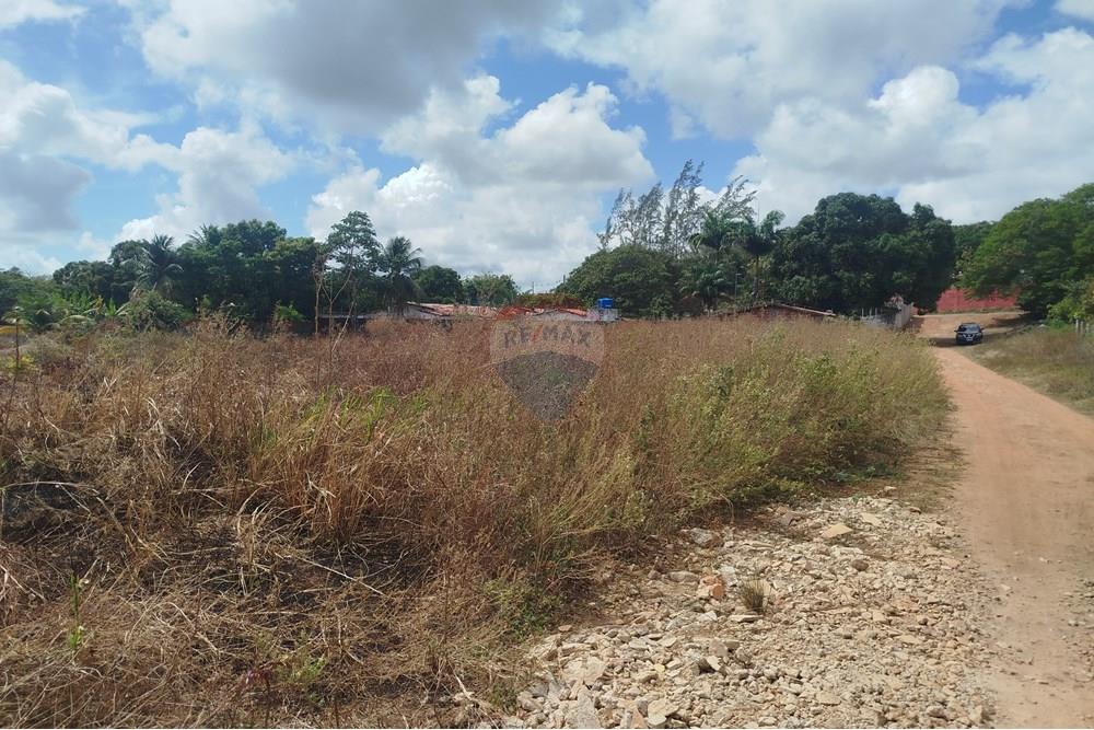 Terreno - Venda - Nísia Floresta , Rio Grande do Norte - WhatsApp Image 2024-11-22 at 21.32.39 (3).jpeg - 720891013-74