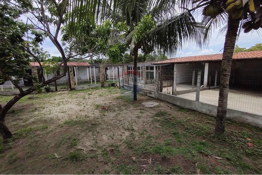 Chácara / Sítio / Fazenda - Venda - Parnamirim , Rio Grande do Norte - IMG_20250404_105107018.jpg - 720731014-48