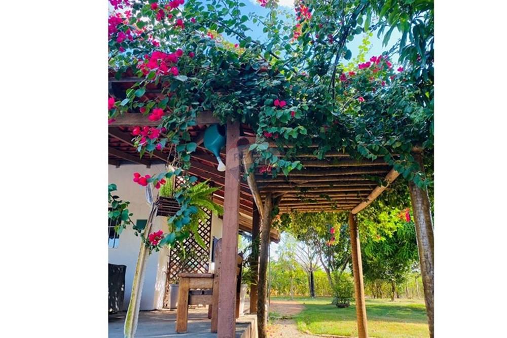 Chácara / Sítio / Fazenda - Venda - Parauapebas , Pará - IMG-20250908-WA0158.jpg - 722021013-13