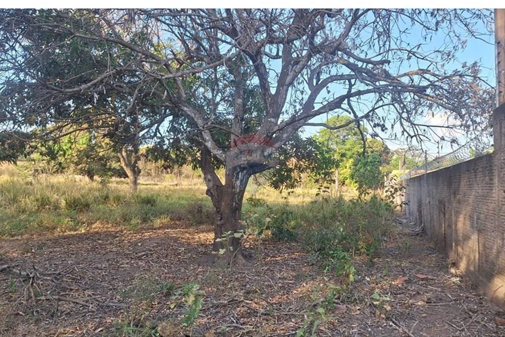 Terreno - Venda - Rondonópolis , Mato Grosso - IMG-20250830-WA0052.jpg - 721981068-6