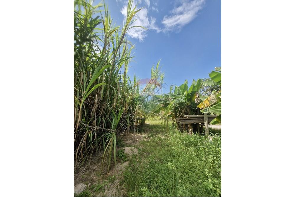 Chácara / Sítio / Fazenda - Venda - Barra do Garças , Mato Grosso - WhatsApp Image 2024-11-27 at 21.09.33 (5).jpeg - 722221026-15